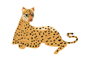 big leopard design