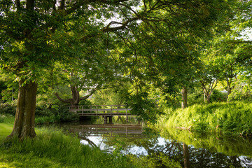 Beautiful  landscape of park trees located along the bank of the canal. Reflection of trees and blue sky in the water