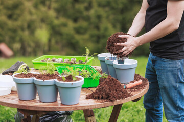 Home gardening best soil for herbs, gardener make potting mix for herbs. Basic ingredients for growing plants, besides light and water, is good soil. Potting soil for grow in a container