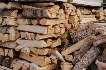 harvesting wood in winter for home heating