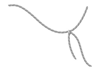 Illustration of rope. Simple string for decoration.