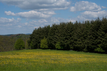 Landscape view near the german village called Hallenberg