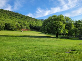 The green mountain landscape. Green meadow. The background of green trees with the blue sky. stationery. Space for text. Luberon, Provence, France.