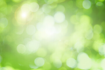 Obraz na płótnie Canvas Blur the green bokeh for presentation as a background. 