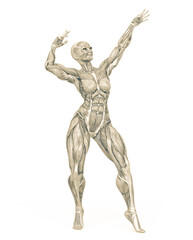 female bodybuilder is showing the guns up white background