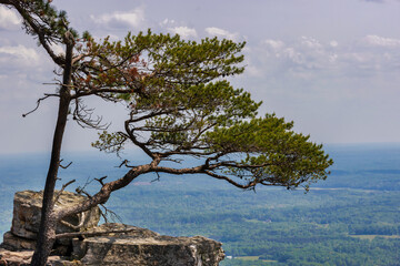 Fototapeta na wymiar Pilot Mountain State park in North Carolina