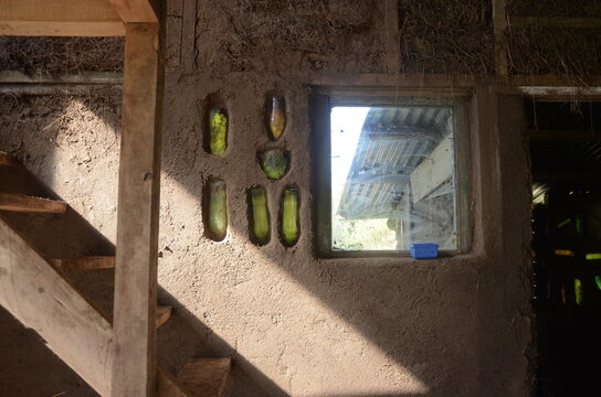 Bioconstruction of a mud house