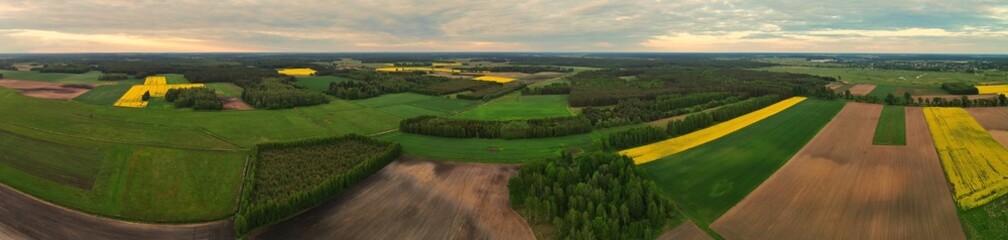 Panorama.View from the drone on yellow .green farmland in Podlasie.Yellow flowering rapeseed from a bird's eye view.