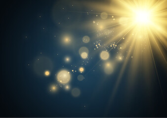 Obraz na płótnie Canvas Bright beautiful star.Vector illustration of a light effect on a transparent background. 