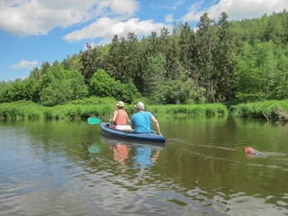 Foto op Canvas Canoeing on the river, boating, forest, nature © Jana
