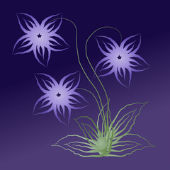 Lavender Color Flowers With Green Leaves On Dark Purple Background With Gradient Effect. Hand Drawn Sketch
