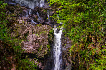 Waterfall in The Lodge Forest Visitor Centre. Scotland, UK. The gateway to Queen Elizabeth Forest Park. Forests and land that Scotland. Panoramic views and scenic trails. Place to watch wildlife