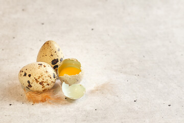 Quail eggs on a light background.Copy space