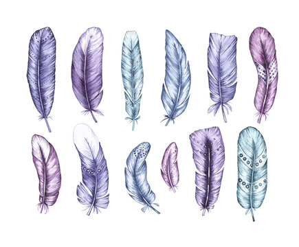 Watercolor set of bird feathers
