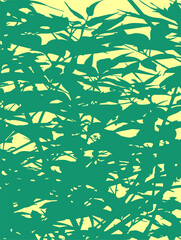 green tea foliage on sunny background