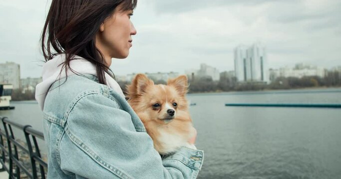 Woman holding pomeranian mini spitz on hand in spring city park, slow motion.