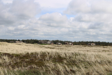 Obraz premium North Sea Cycle Route leading through the dunes in Jutland, Denmark