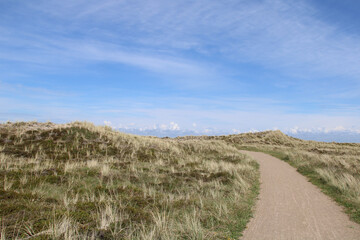 North Sea Cycle Route leading through the dunes in Jutland, Denmark