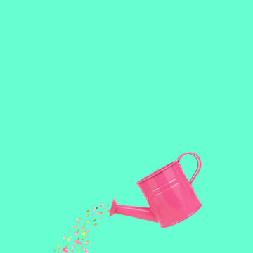 Lovely pink watering can with beautiful flowers isolated on square vivid pastel color background. Floral season nature concept