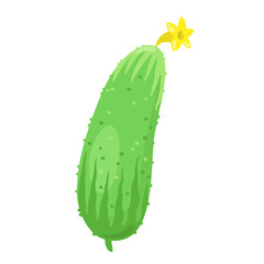 Green cucumber. In cartoon style. Isolated on white background. Vector flat illustration.