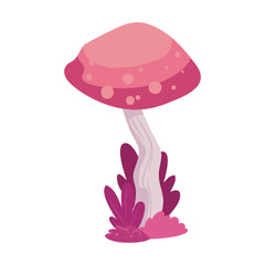 pink fungus illustration