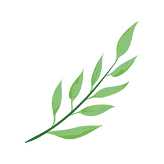 green leaves branch