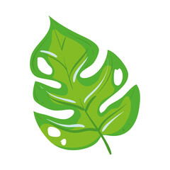 green leaf illustration