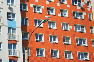 Fototapeta na wymiar Modern high-rise building in a residential complex. Many windows. A seagull sits on a lamppost. High quality photo