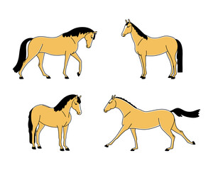 Set of horses standing and moving vector flat illustration