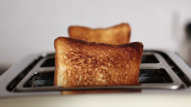 Roasted bread in white toaster. two delicious and toaster toasts. the process of frying toasts.