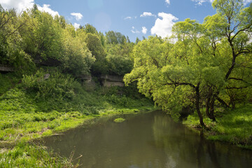 Quiet little river with trees on banks and blue sky with white clouds