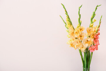 Delicate gladiolus flowers on color background, closeup