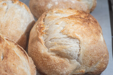 Traditional Italian bread on a shelf with natural light,handmade bread