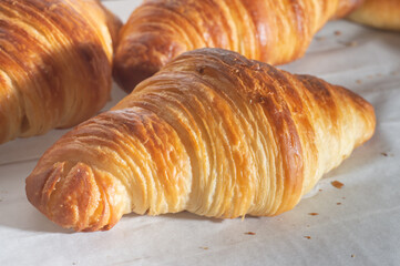 Delicious homemade croissants on a white parchment paper,natural light