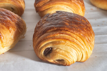Freshly backed french traditional croissant chocolate - petit pain au chocolat shiny in the rays of the morning sun.