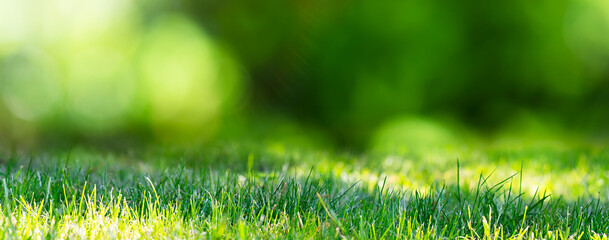 Nature bright summer sunlight background