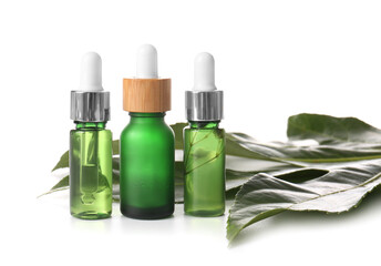 Bottles of natural serum and plant leaf isolated on white background
