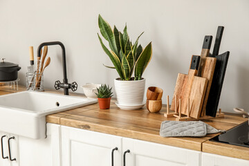 Cutting boards and houseplants on counter near light wall
