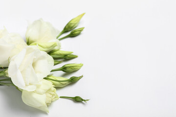 Bouquet of beautiful eustoma flowers on white background