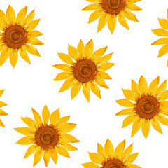 Sunflower rings seamless pattern on white background. Ditsy floral design.  Hand drawn sketch. Watercolor effect flower vector illustration.