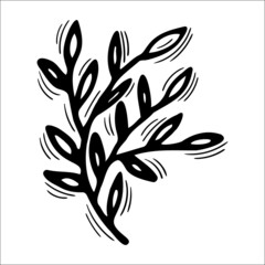 Hand drawn floral element. Sketch of branch with leaves. Decorative element for your design