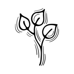 Hand drawn floral plant element. Decorative element for your design. Sketch of branch with leaves