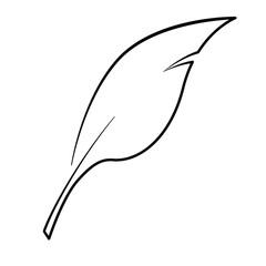 Vector drawing icon. Feather. Pen for writing.