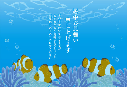 イソギンチャク Images Browse 1 841 Stock Photos Vectors And Video Adobe Stock