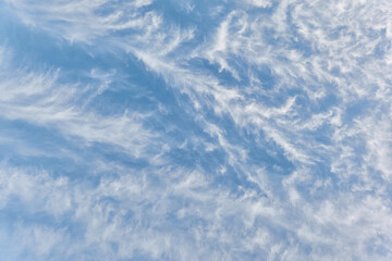 Clear blue sky after the storm. Glowing cirrus clouds. Soft sunset light. Panoramic image, texture,...