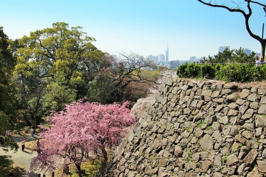 福岡市の福岡城天守台から見た福岡都市風景