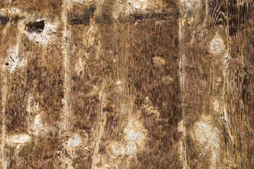 wooden wall made of old boards with  natural structure.