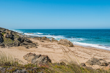 Marine vegetation along the sand with rocks on the beach of the island of Pessegueiro, Porto Covo - Sines PORTUGAL