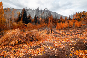 Otoño 