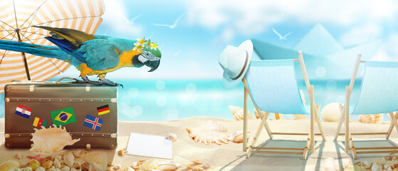 Papagai im Urlaub am Strand